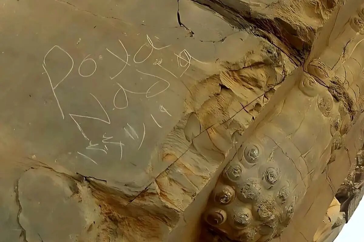 پاکسازی یادگاری‌ها از دروازه ملل تخت جمشید/ متخلفان به مراجع قضایی معرفی شدند