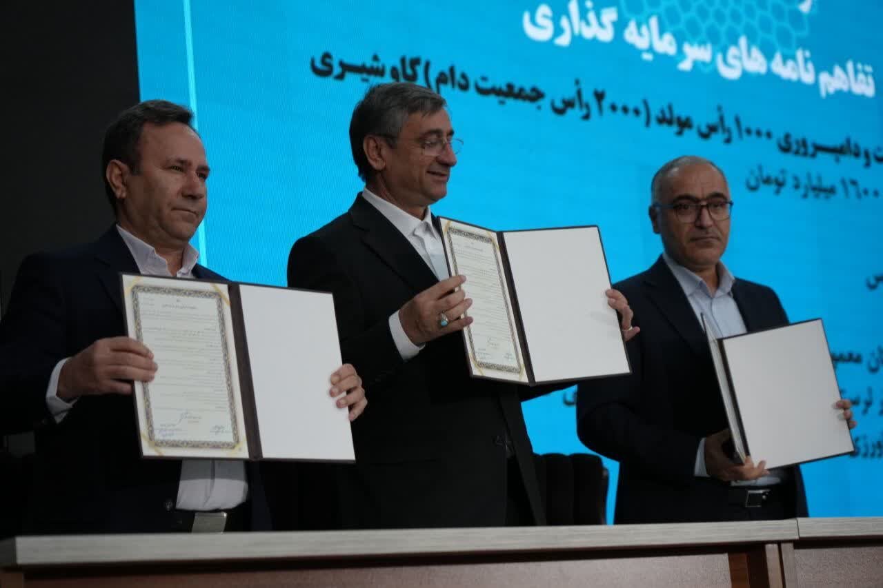 امضای تفاهمنامه برای ساخت مجتمع ۲ هزار رأسی گاو شیری در معمولان انجام گرفت. امضای تفاهمنامه برای ساخت مجتمع ۲ هزار رأسی گاو شیری در معمولان انجام گرفت.