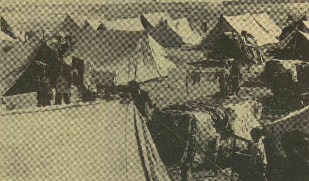 گزارشی عجیب از زندگی کولیهای تهران در زمستان ۱۳۴۹