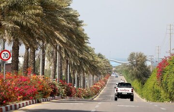 استقبال از نوروز 1405 با رونمایی از میلیون ها گل زیبای فصلی در کیش