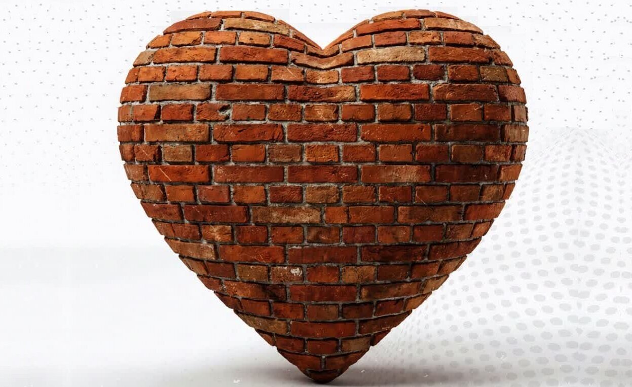 نهج زندگی | دل، بی‌حکمت می‌میرد