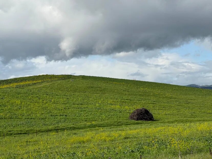 منظره تپه والپیپر نمادین ویندوز XP پس از ۳۰ سال / عکس