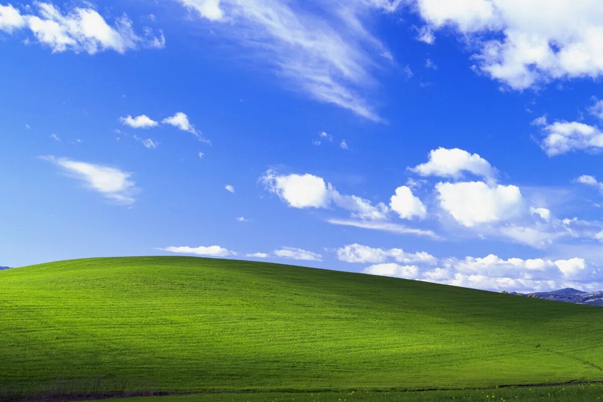 منظر تپه نمادین ویندوز XP پس از گذشت 30 سال / تصویر منظر تپه نمادین ویندوز XP پس از گذشت 30 سال / تصویر