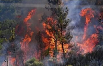 آتش‌سوزی عمدی در پارک ملی بوجاق مهار شد