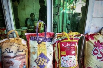 قیمت برنج ارزان شد/ قیمت انواع برنج را در بازار ببینید قیمت برنج ارزان شد/ قیمت انواع برنج را در بازار ببینید