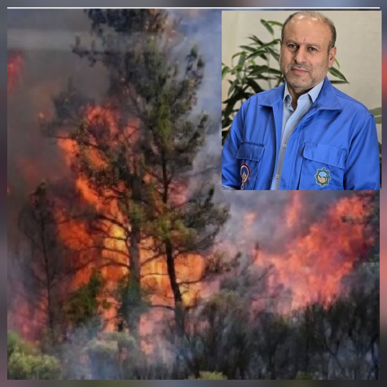 عامل آتش‌سوزی تالاب انزلی دستگیر شد