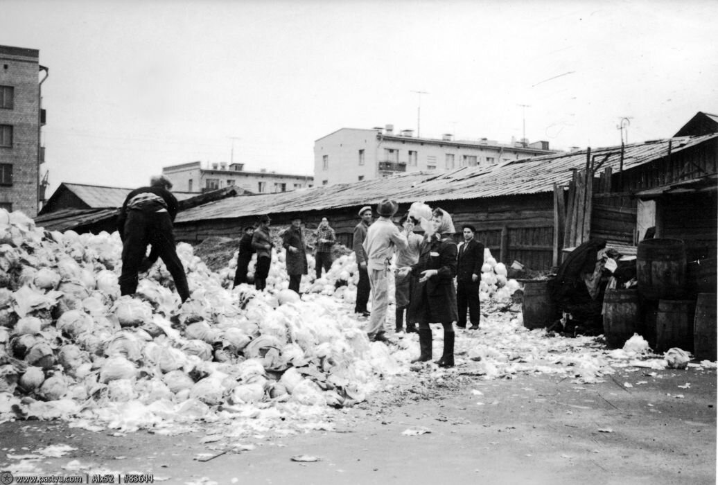 عجایب زندگی روزمره در اتحاد جماهیر شوروی/  «جلوی چشم‌های من، انسانی به‌ خاطر چند قوطی شیر جانش را از دست داد»