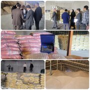 آغاز انبارگردانی مراکز ذخیره‌سازی گندم و کالاهای اساسی در استان سمنان