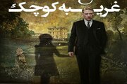 نابینایان و ناشنوایان می‌توانند «غریبه کوچک» را تماشا کنند