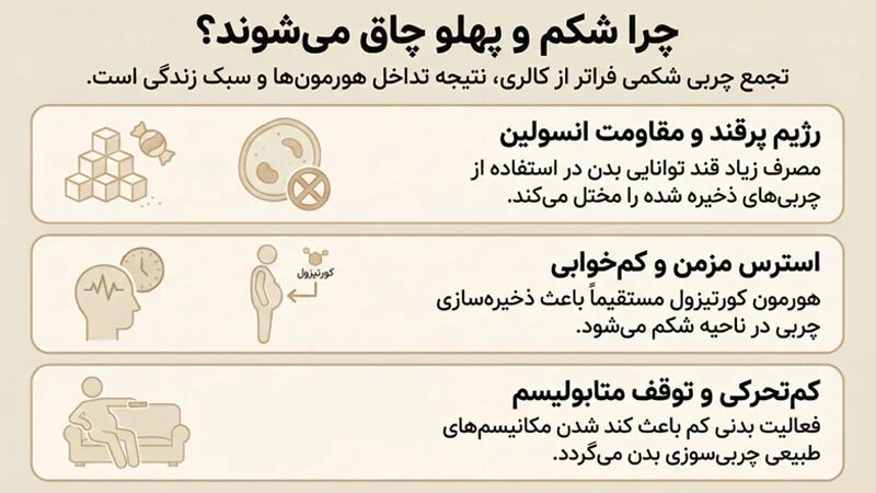 دلایل چاقی شکم و پهلو