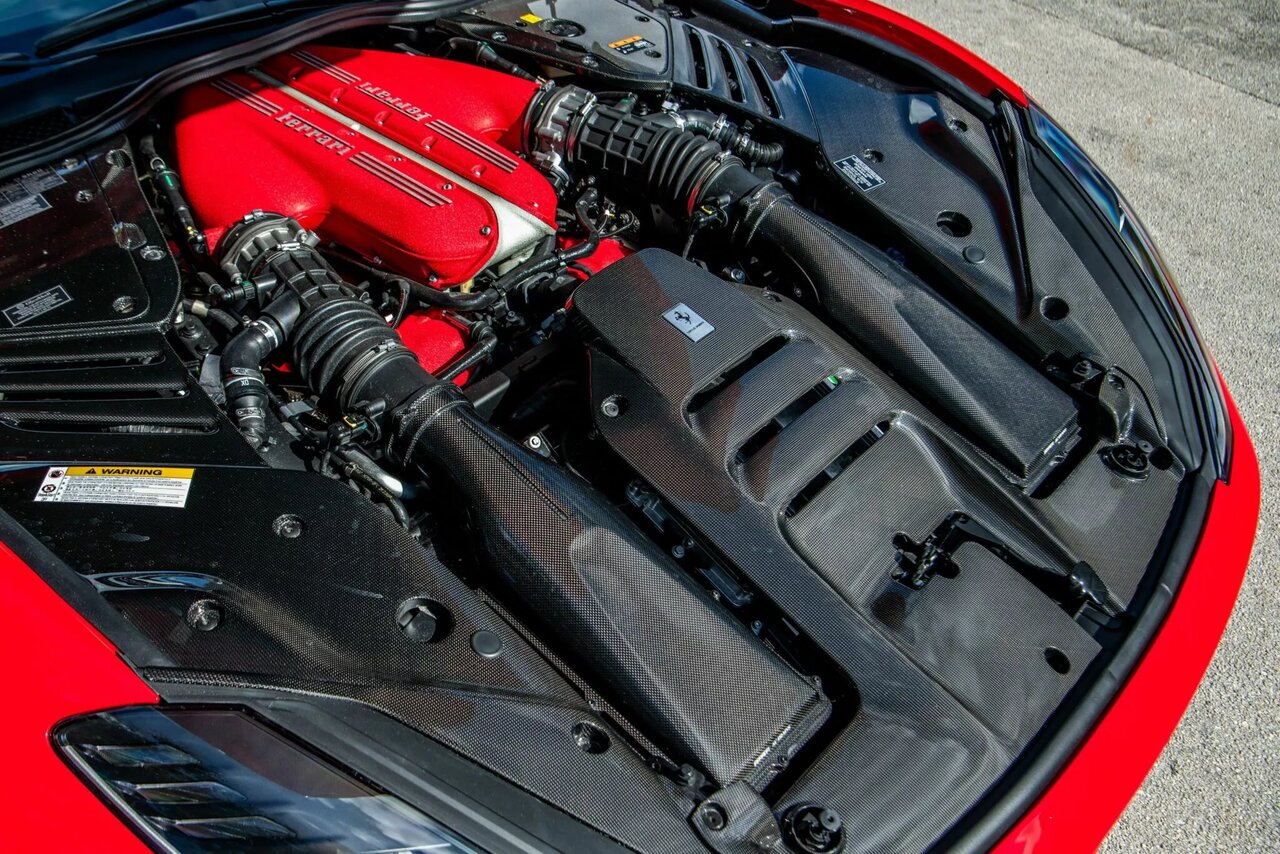 افعی حراج می‌شود / میلیون‌ها دلار سود در ۳ سال