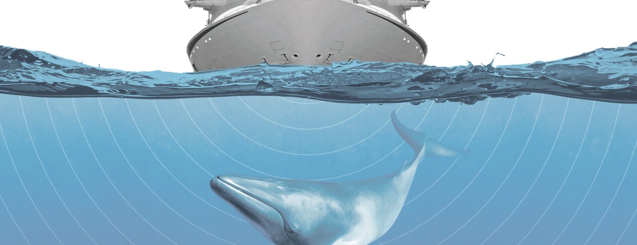 «شکارچیان خاموش»؛ سلاحهایی که به صخره مرجانی تبدیل میشوند