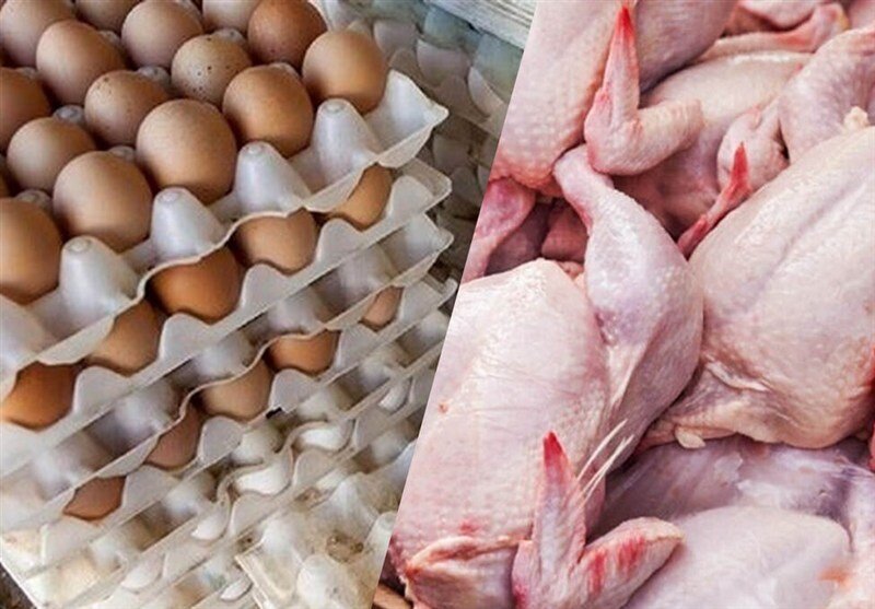 سقوط شدید تقاضا برای مرغ و تخممرغ در کشور/ طلاکش: با آزاد شدن نرخ دلار، مردم از خرید مرغ صرفنظر کردند سقوط شدید تقاضا برای مرغ و تخممرغ در کشور/ طلاکش: با آزاد شدن نرخ دلار، مردم از خرید مرغ صرفنظر کردند