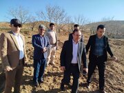 باغداری نوین در ازنا /  پیوند اراضی شیبدار با اشتغال پایدار