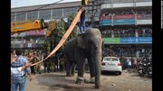 ببینید | حمله یک فیل به یکی از شرکت‌کنندگان جشنواره در هند