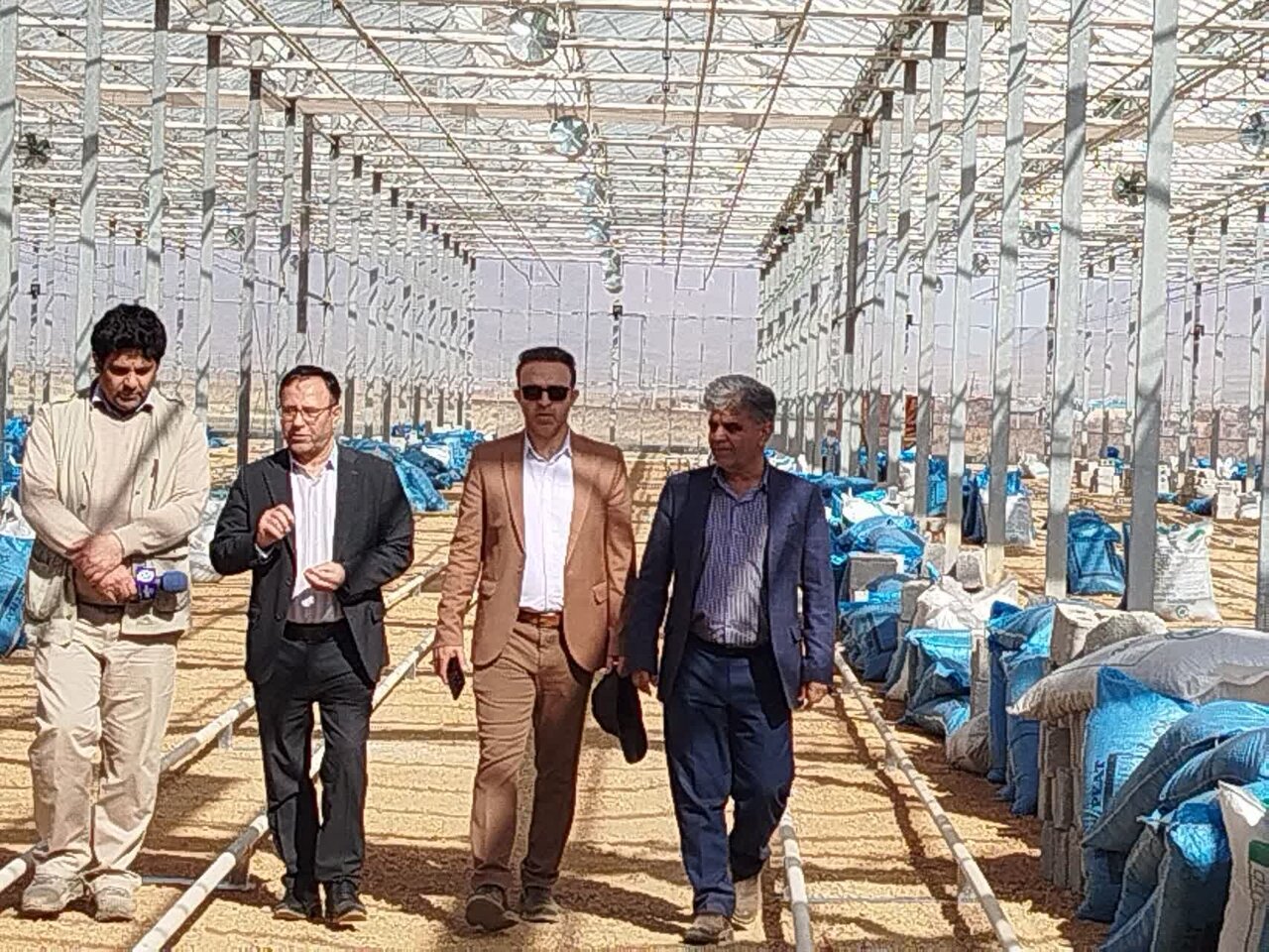 باغداری نوین در ازنا / پیوند اراضی شیبدار با اشتغال پایدار