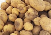 عرضه گسترده سیب زمینی آغاز شد/ قیمت جدید سیب‌زمینی را ببینید