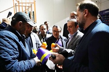 استاندار2.jpg