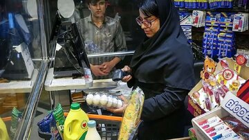 قیمت مرغ و تخم‌مرغ در بازار اعلام شد/ برادری: خرید هیجانی نکنید