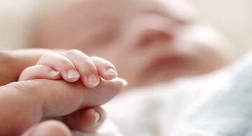تولد ۸۱نوزاد در قزوین در ایام جنگ