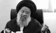 ۱۰ یا ۱۲ نفر صحبت کردند؛ نیمی موافق رهبری فردی و نیمی دیگر مخالف آن بودند