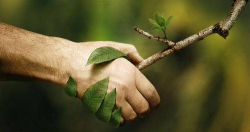 میراث مخرب جنگ برای اکوسیستم طبیعی و شهری؛ تخریب زیرساختها مصداق جنگی زیستمحیطی/ «جنگ، محیطزیست را به حاشیه میبرد»