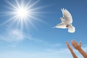 نجات یک زندانی محکوم به قصاص در بندرعباس