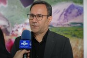 ثبات کامل در بازار کالاهای اساسی لرستان / تأمین مستمر نیازهای مردم ادامه دارد