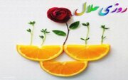 شبهه دستور دین به بانوان برای کسب روزی حلال