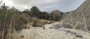 مدیریت بحران هرمزگان: سیل اخیر خسارات جانی نداشت