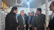 بازدید مدیران اقتصادی استان ایلام از کشتارگاه صنعتی سپیدمرغ رستاک ایوان