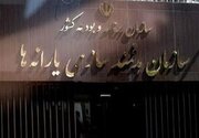 خبر مهم سازمان هدفمندی برای یارانه‌بگیران/ یارانه جدید در راه است