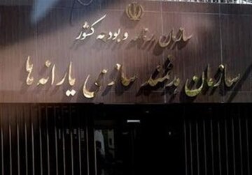 خبر مهم سازمان هدفمندی برای یارانه‌بگیران/ یارانه جدید در راه است