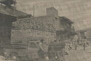 نرخ میوه و تره‌بار نوروز تهران در نیم قرن پیش
