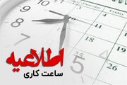 شرایط دورکاری کارمندان در شرایط اضطرار اعلام شد/ اطلاعیه مهم دولت برای کارکنان