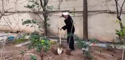 ببینید |  بغض رئیس قوه قضاییه هنگام غرس نهال به یاد رهبر شهید انقلاب