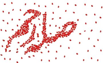 اهمیّت صله رحم در اسلام تا چه حدّ است؟ اهمیّت صله رحم در اسلام تا چه حدّ است؟