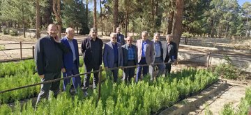 یک‌میلیارد مترمکعب رواناب؛ رهاورد طرح‌های آبخیزداری برای تقویت  آب‌ زیرزمینی سمنان