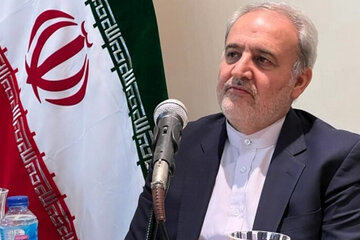 سفیر ایران: هیچ عامل خارجی بر روابط تهران و اسلامآباد تاثیری ندارد سفیر ایران: هیچ عامل خارجی بر روابط تهران و اسلامآباد تاثیری ندارد