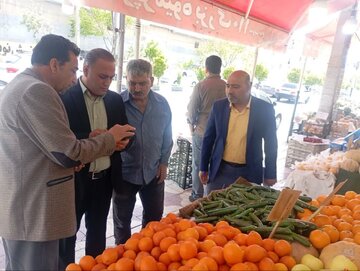 بازرسی میدانی از بازار کلان‌شهر شیراز با هدف نظارت بر قیمت‌ها