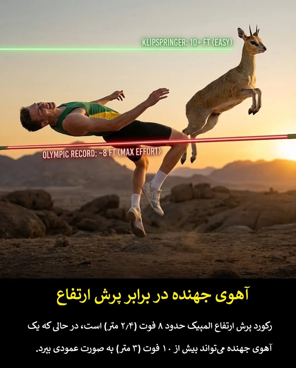 چرا قهرمانان المپیک در برابر حیوانات معمولی شانسی ندارند؟