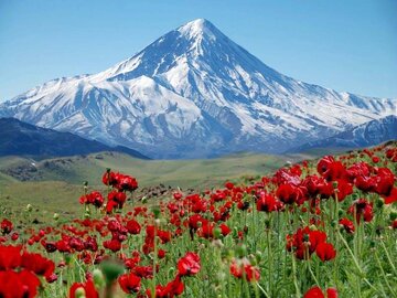 «سمفونی ایران» در ایتالیا رونمایی شد