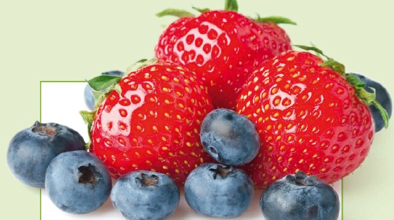با این مواد غذایی توان ذهنیتان را افزایش دهید