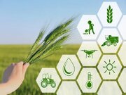 اعلام ضریب امنیت غذایی در ایران/ چقدر از  مواد غذایی مورد نیاز در ایران تولید می‌شود؟