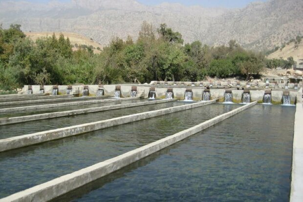 شیلات لرستان آماده واگذاری مجتمعهای آبزیپروری با سرمایهگذاری ۱۰۰۰ میلیارد تومانی