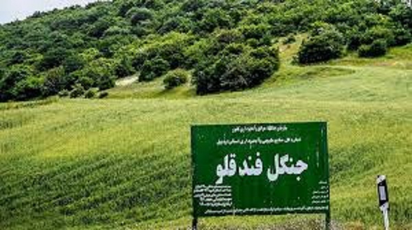 مبادی فرعی ورود به جنگلهای نمین مسدود میشود
