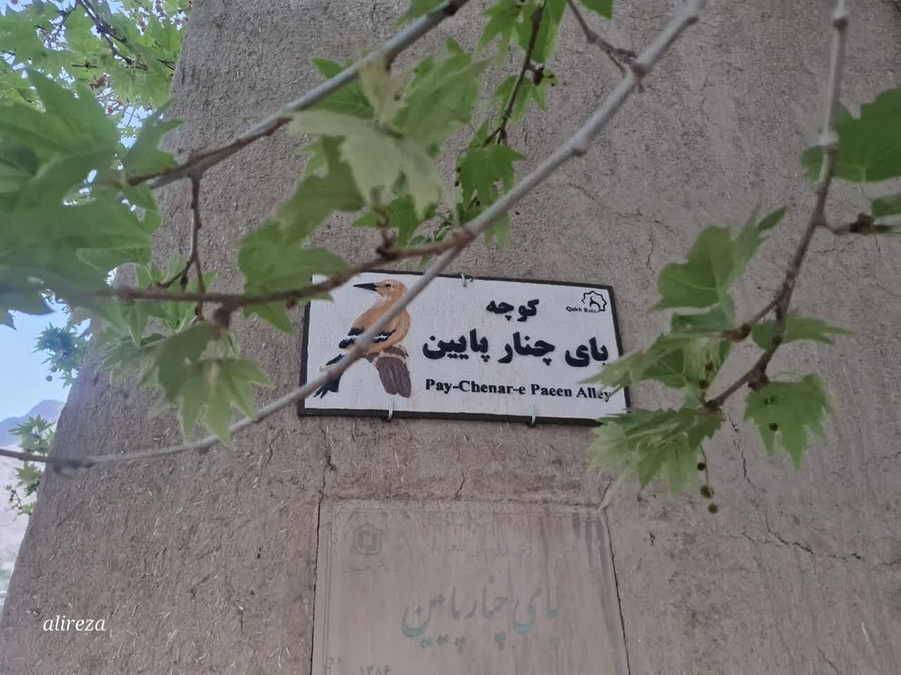 نصب تابلوهای نمادین نامگذاری خیابانهای روستای قلعه بالا در شاهرود آغاز شد. نصب تابلوهای نمادین نامگذاری خیابانهای روستای قلعه بالا در شاهرود آغاز شد.