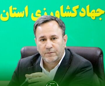 تولید ۸۶ هزار تن کنسانتره باکیفیت توسط کارخانجات خوراک دام لرستان