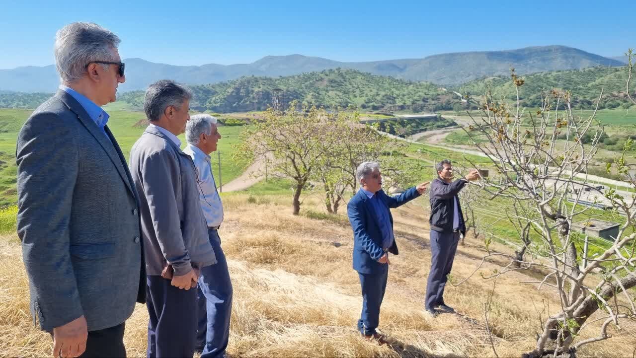 بررسی وضعیت تولید نهالهای باغی و توسعه نهالستانهای استاندارد در لرستان