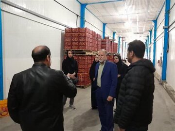بازدید مدیرکل استاندارد لرستان از سردخانه  ۴ هزار تنی بروجرد